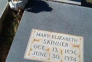 Mary Elizabeth Skinner