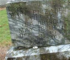 Mary Elizabeth Sullivan Briscoe