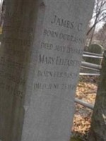 Mary Elizabeth Swartwout