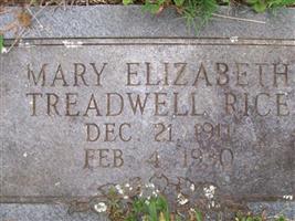 Mary Elizabeth Treadwell Rice