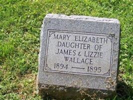 Mary Elizabeth Wallace