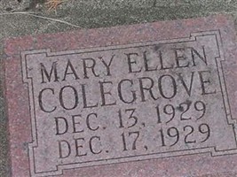 Mary Ellen Colegrove (2049754.jpg)