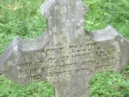 Mary Ellen Coryell Lilly Mary Ellen Coryell Lilly