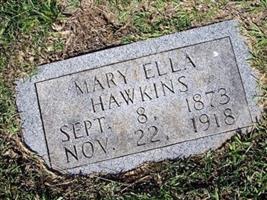 Mary Ellen Hawkins