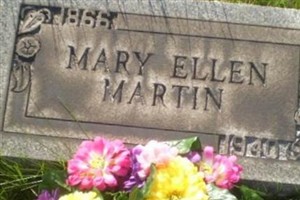 Mary Ellen Toy Martin