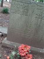 Mary Ellen Veal Mary Ellen Veal
