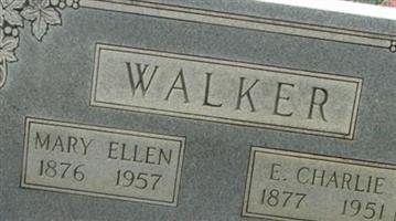 Mary Ellen Walker