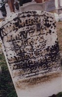 Mary Ellen Werts Banks