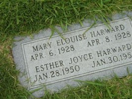 Mary Elouise Harward