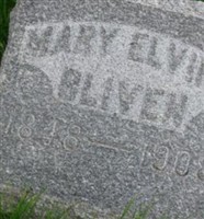 Mary Elvira Corwin Bliven