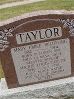 Mary Emile Wildfong Taylor
