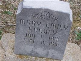 Mary Emily Harvey