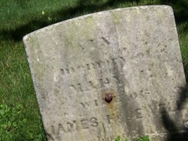 Mary Emma Whitman Jewell Mary Emma Whitman Jewell