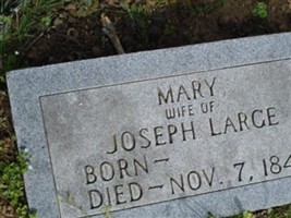 Mary Emmitt Large