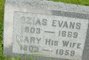 Mary Evans