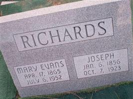 Mary Evans Richards