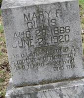 Mary F Gillis