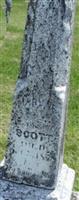 Mary F Scott