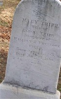 Mary Field Tripp