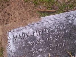 Mary Fields Young