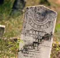 Mary Frances Landers Walden Mary Frances Landers Walden