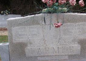 Mary Frank Farmer