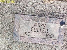 Mary Fuller