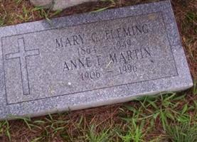 Mary G Fleming