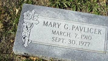 Mary G Pavlicek