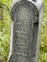 Mary Gregor Mary Gregor