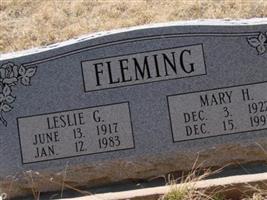 Mary H Fleming