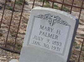 Mary H Palmer