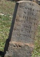 Mary Haygood Mary Haygood