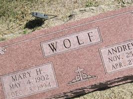 Mary Heber Wolf
