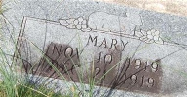 Mary Hicks