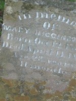 Mary Higginbotham