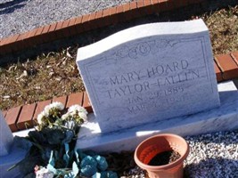 Mary Hoard Taylor - Fallen Mary Hoard Taylor - Fallen