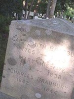Mary Hovey Bradbury (1870916.jpg)