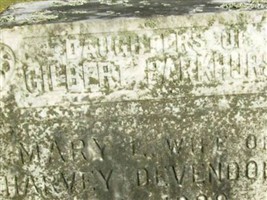 Mary I. Parkhurst Devendorf Mary I. Parkhurst Devendorf