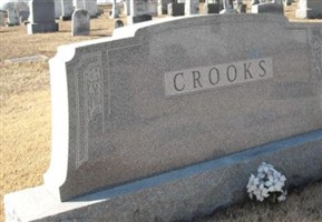Mary Irene Crooks
