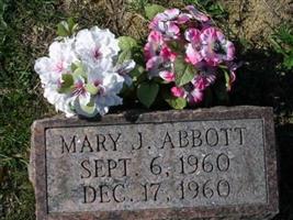 Mary J Abbott