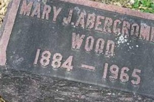 Mary J Abercrombie Wood