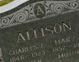 Mary J Allison