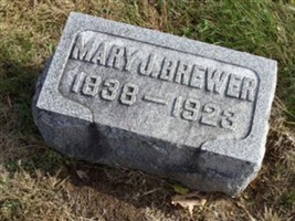 Mary J Brewer Mary J Brewer