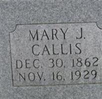 Mary J Callis