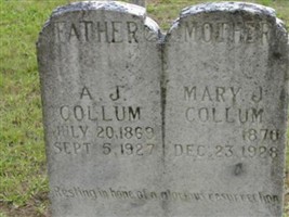 Mary J. Collum