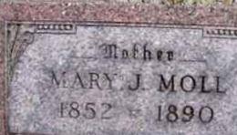 Mary J. Coon Moll