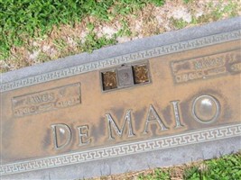 Mary J DeMaio