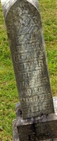 Mary J Dever
