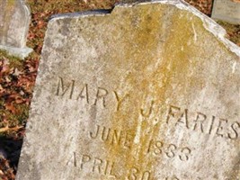 Mary J Faries Mary J Faries